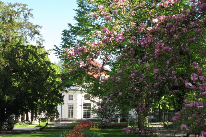 Kurgarten Bad Reichenhall