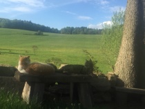 Foto 14
