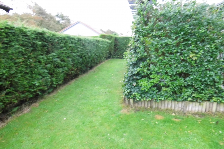Ein Gartenteil