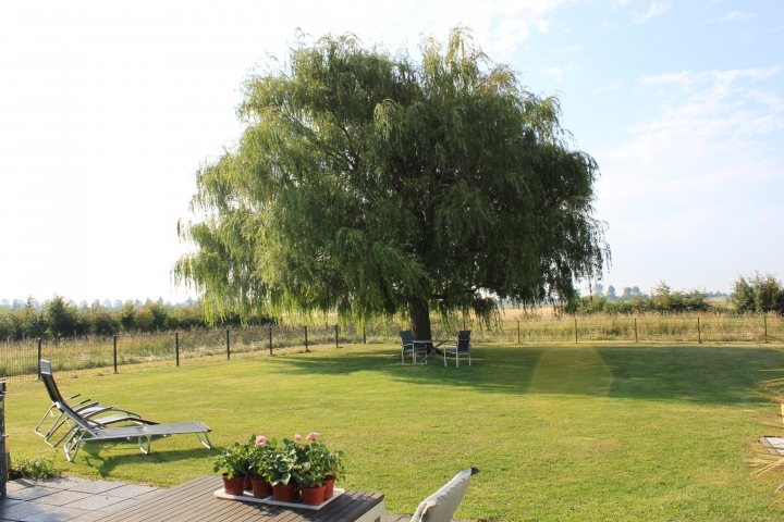 Aussicht Garten
