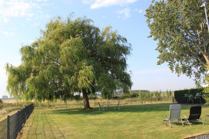 Aussicht Garten