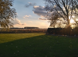 Foto 21