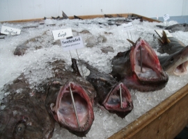 Beim jährlichen Fischerfest werden frische Fische zum Verkauf angeboten.