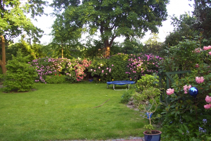 Ein Garten, wie ein Park mit Liegewiese und vielen seltenen Pflanzen, mehreren Terrassen und Sitzplätzen, Stühlen u. Liegestühlen.