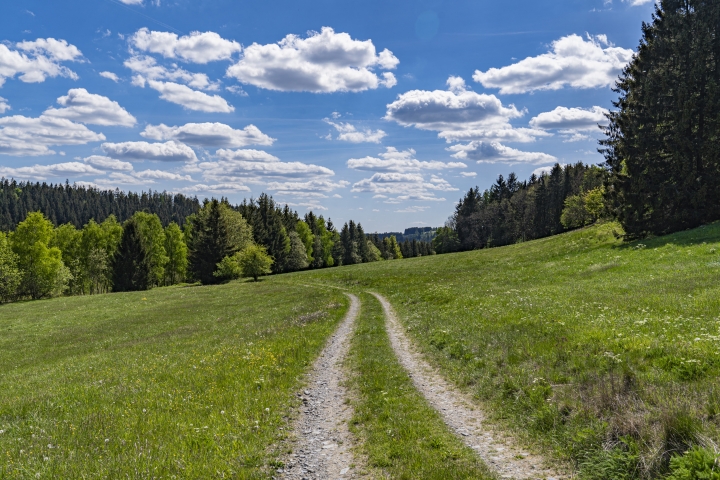 Wunderschöne Natur rund um Titschendorf