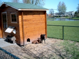 Foto 14