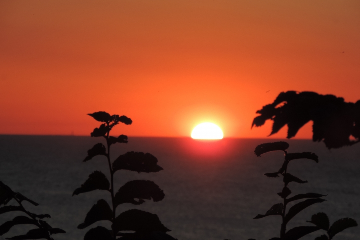 Sonnenuntergang an der Steilküste