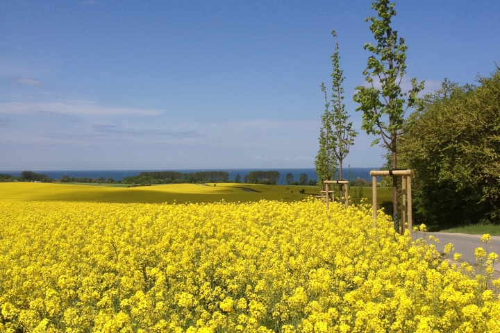 Frühling in Rerik