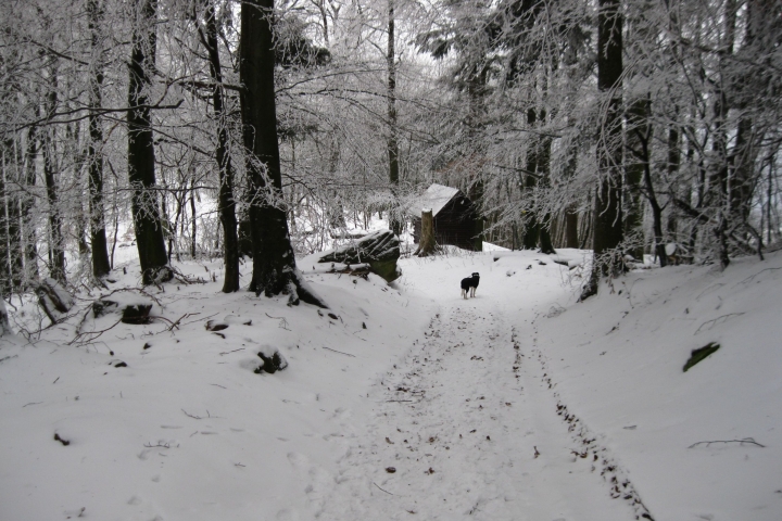 Zauberhafte Winterwelt...eine Ihrer Wandermöglichkeiten