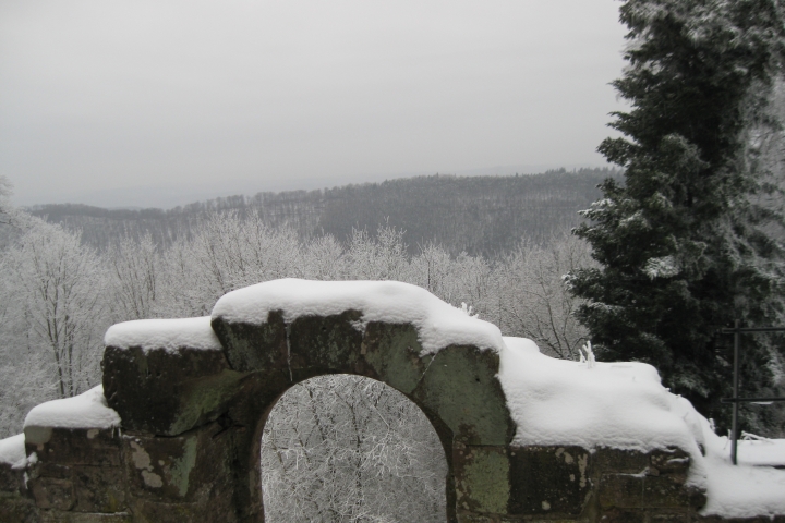 Der Pfälzerwald: Eine Winterpracht auf der Burg