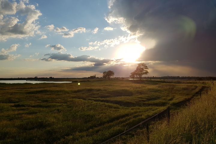 Abnedsonne über den Salzwiesen