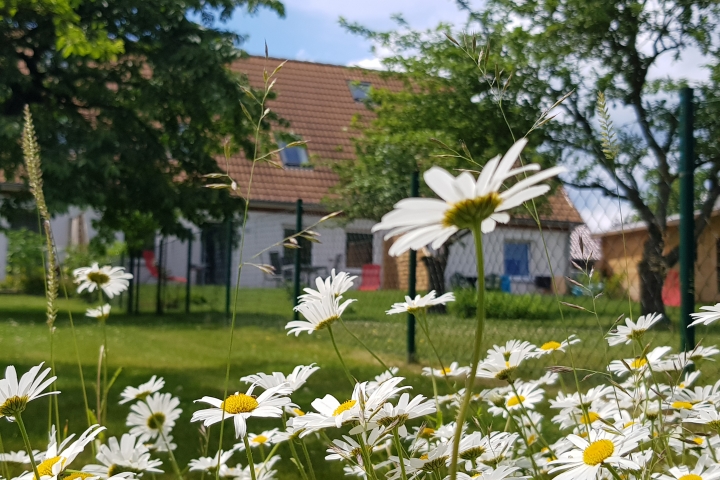 Blick aus dem Garten