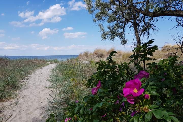 Strandaufgang etwas abseits