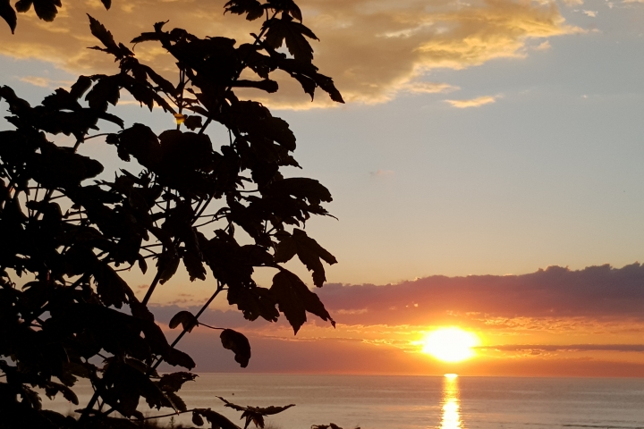 Sonnenuntergang am Schwarzen Busch