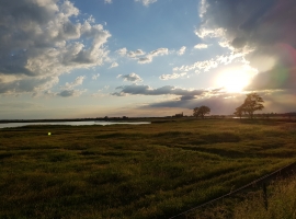 Foto 19