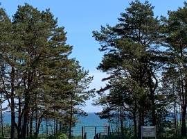 Foto 15