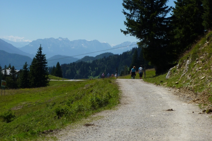 Wanderweg am Braunneck - Lenggries