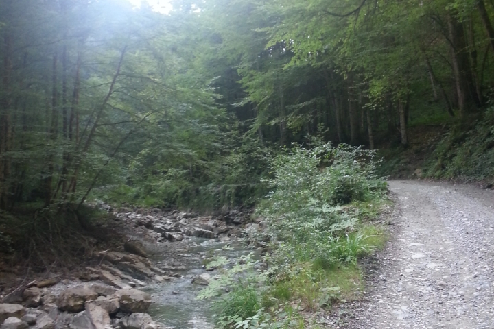 Spaziergang am Lainbach in Benediktbeuren (4 KM)