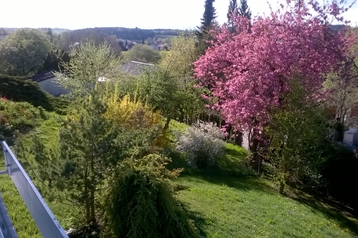 Blick von Ihrem Balkon nach Osten.