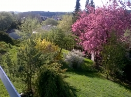 Blick von Ihrem Balkon nach Osten.