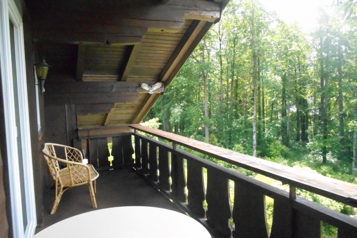 Balkon mit Wald & Berg & Seeblick Komfort Apartment DACHSTEIN
