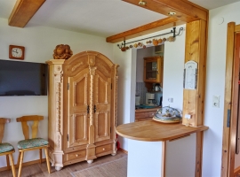 Wohnküche Komfort Apartment DACHSTEIN