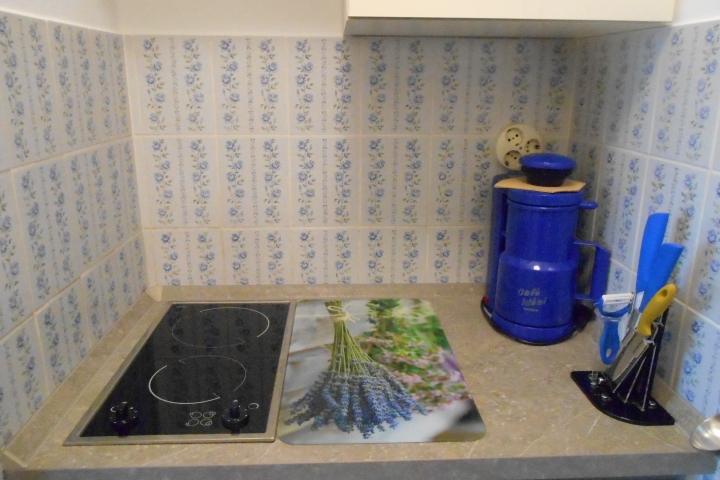 Küchenzeile in Terrassenwohnung GILGEN