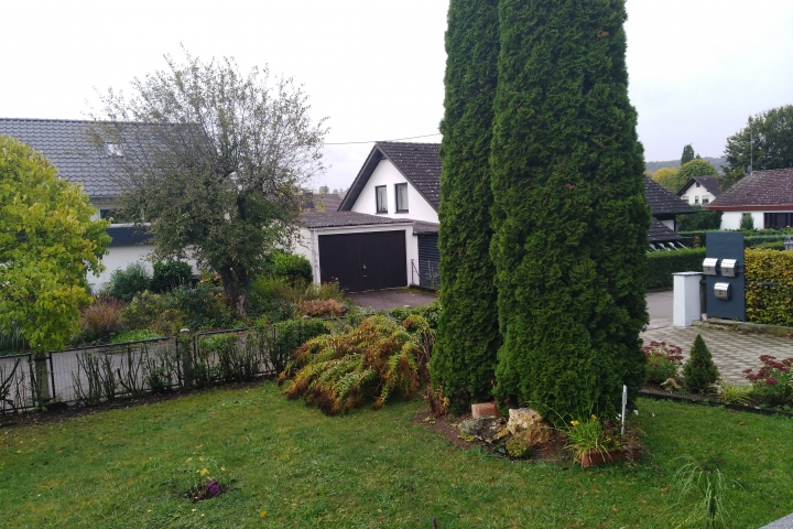 Vorderer Gartenbereich