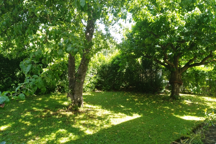 Unter Kirsch.-und Apfelbaum ist bestimmt n Plätzchen im Schatten zu finden(Hinterer Gartenbereich)....