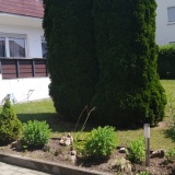 Ferienwohnungen Tina und Wiella bei Langenau