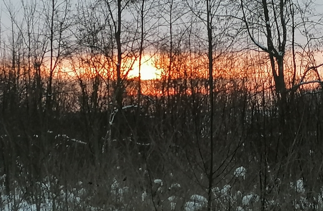 Ferienwohnungen Tina und Wiella bei Langenau &middot; Tina