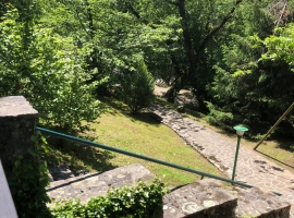 Foto 19