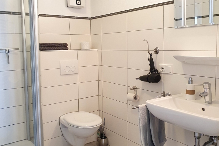 Neues Bad mit Dusche, WC, und Fön.