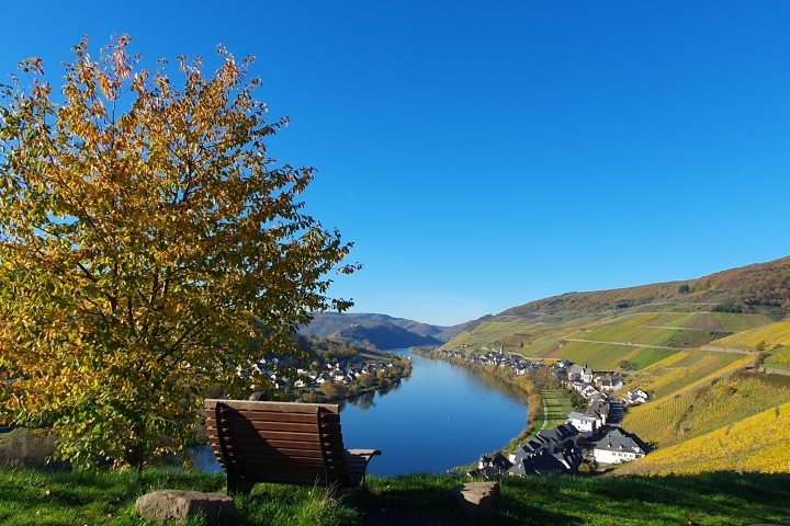 Der Lieblingsplatz in Zell