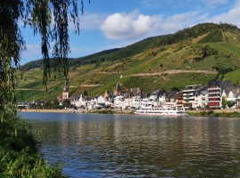 Foto 23