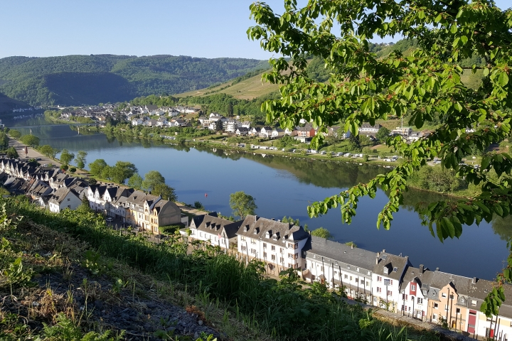 Wandern in den Weinbergen oberhalb von Zell