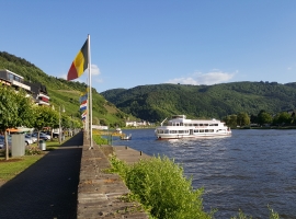 Foto 21