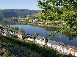 Foto 24