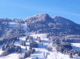 Foto 23