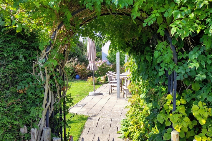 Blick in den Garten. 