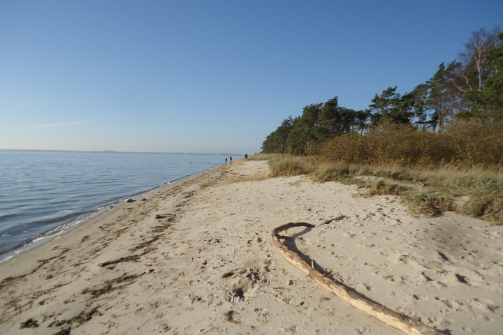 Naturstrand Palmer Ort