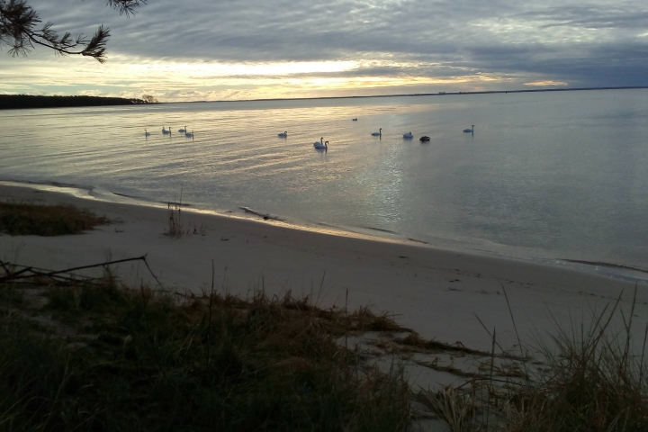 Naturstrand Palmer Ort