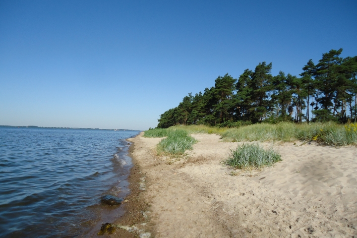 Naturstrand Palmer Ort