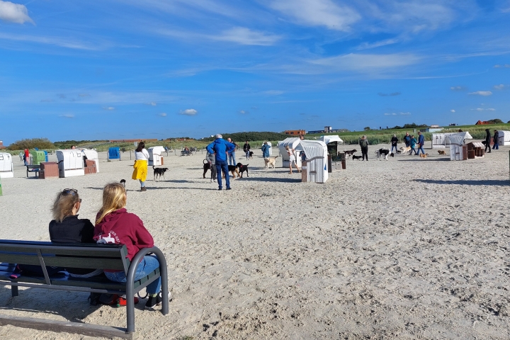 Hundestrand