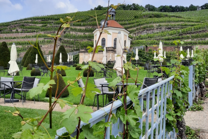 Schloss Wackerbarth