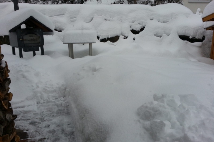 Garten im Winter