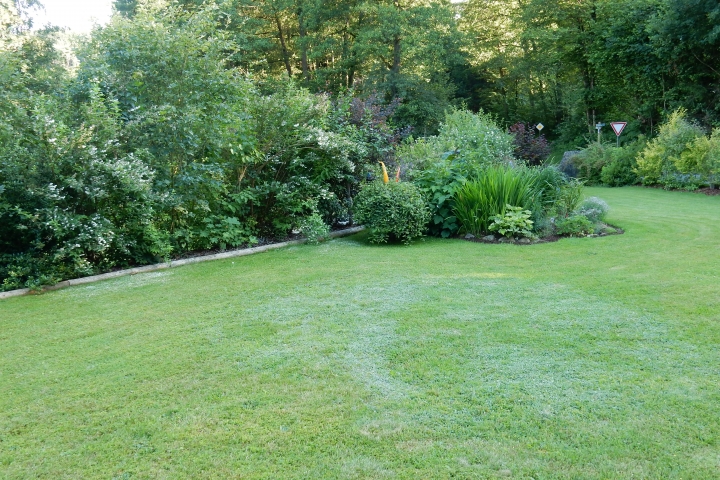 Garten im Sommer