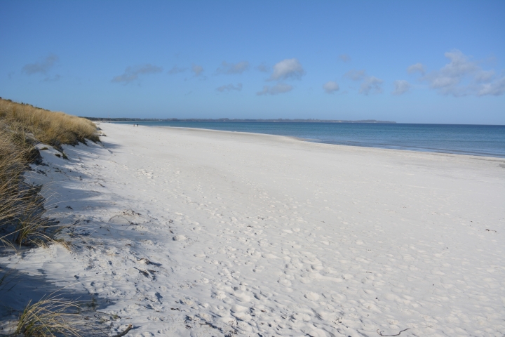 Weißer Sand bis zum Horizont: Die Schaabe