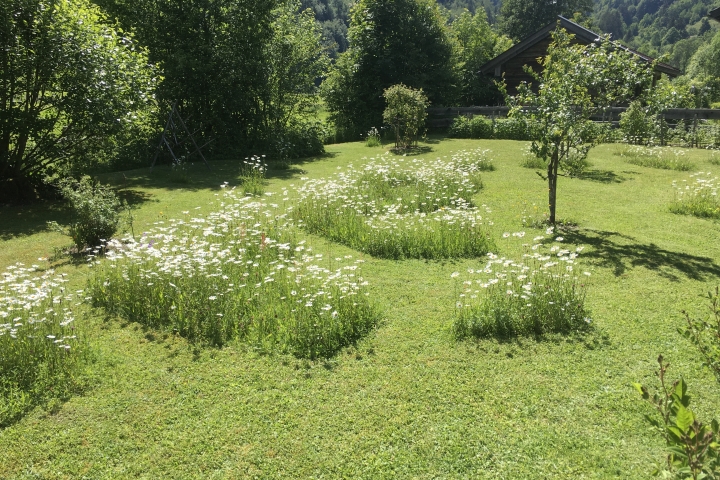 Blick in den Garten