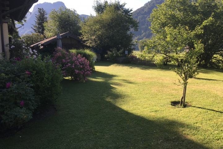 Blick in den Garten